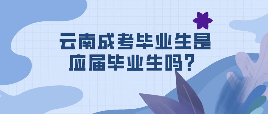 云南成考畢業(yè)生是應(yīng)屆畢業(yè)生嗎？
